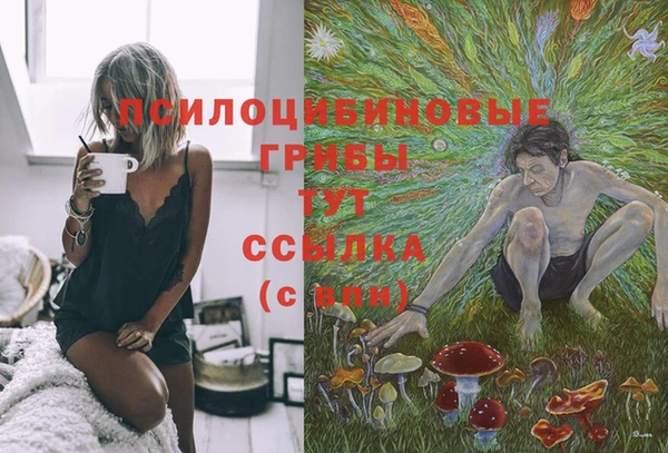 спиды Абинск